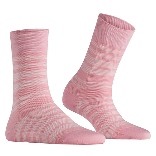 Rose Pink With Off White Stripes Falke Women's Sensitive Sunset Stripe Lyocell Calf Length Socks