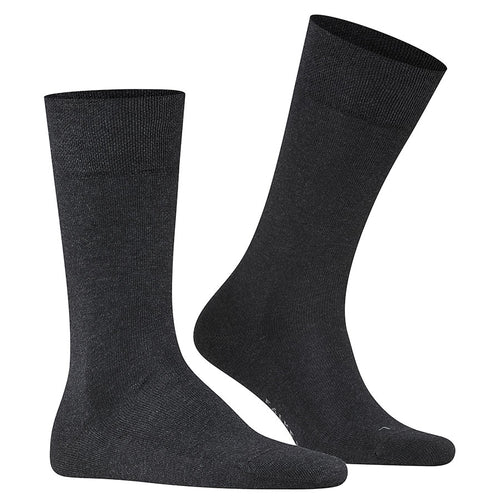 Anthracite Dark Grey Falke Men's Sensitive London Calf Length Cotton Socks