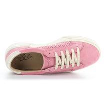 Load image into Gallery viewer, Pink Marfil With Off White Sole Bos and Co Women&#39;s Lotta Suede Casual Sneaker With Floral Cut Outs Top View 

