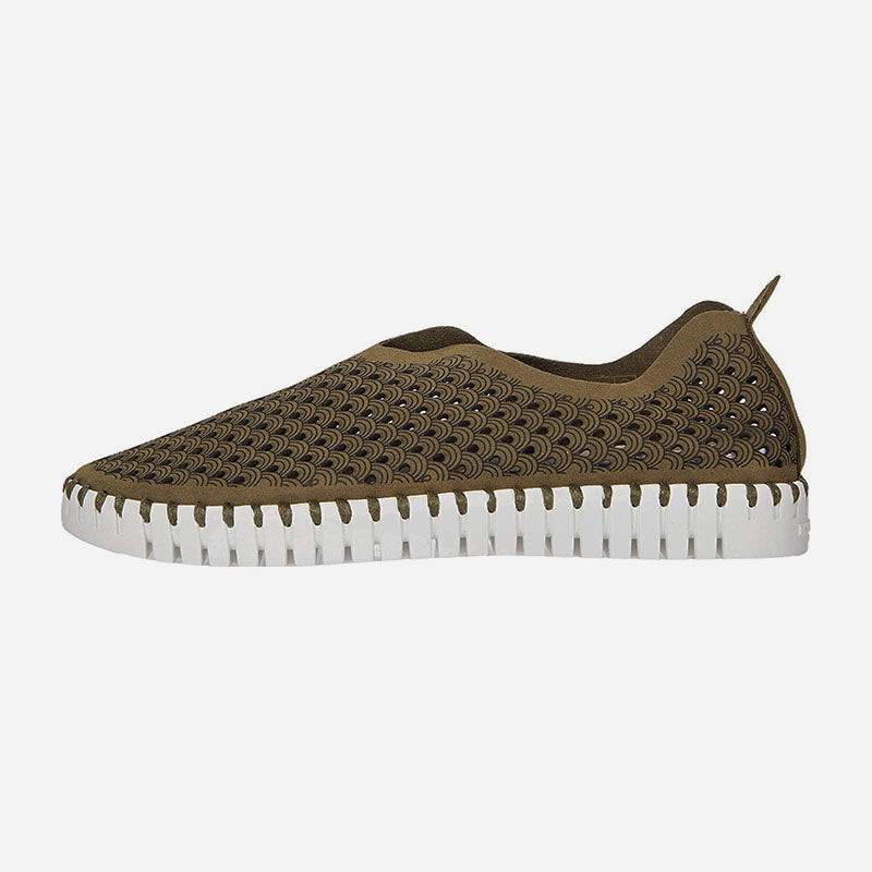 Tulip 139 Deep Olive