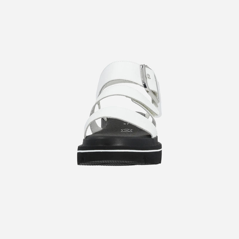 Ivory 50 White