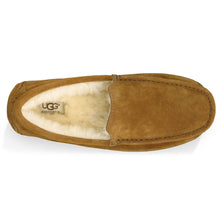 Load image into Gallery viewer, Chestnut Tan UGG Men&#39;s Ascot Suede Wool Lined Slipper Top View
