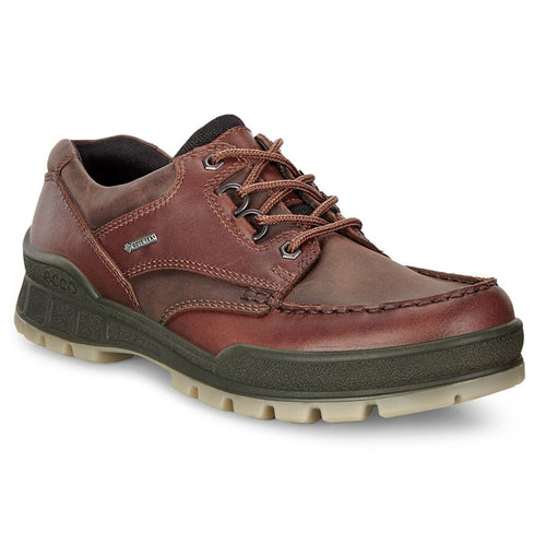 Bison Brown Ecco Men's Track 25 Shoe GoreTex Waterproof Leather And Nubuck Hiking Shoe Profile View