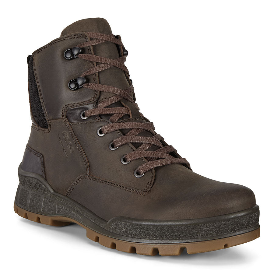 Coffee Dark Brown Ecco Men's Track 25 M HydroMax Plain Toe Water-Repellent Leather Hi Hiking Boot